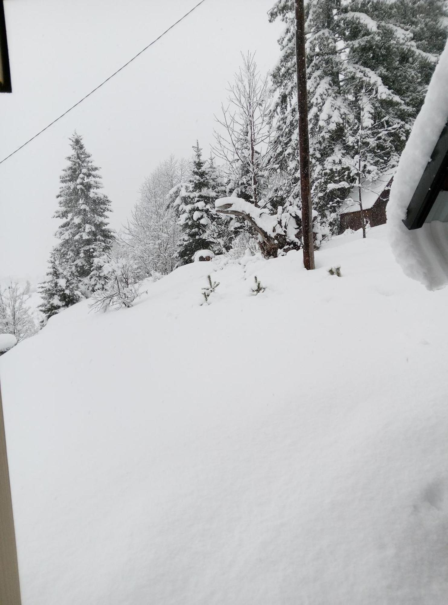 Durmitor Apartment ชาเบลียค ภายนอก รูปภาพ