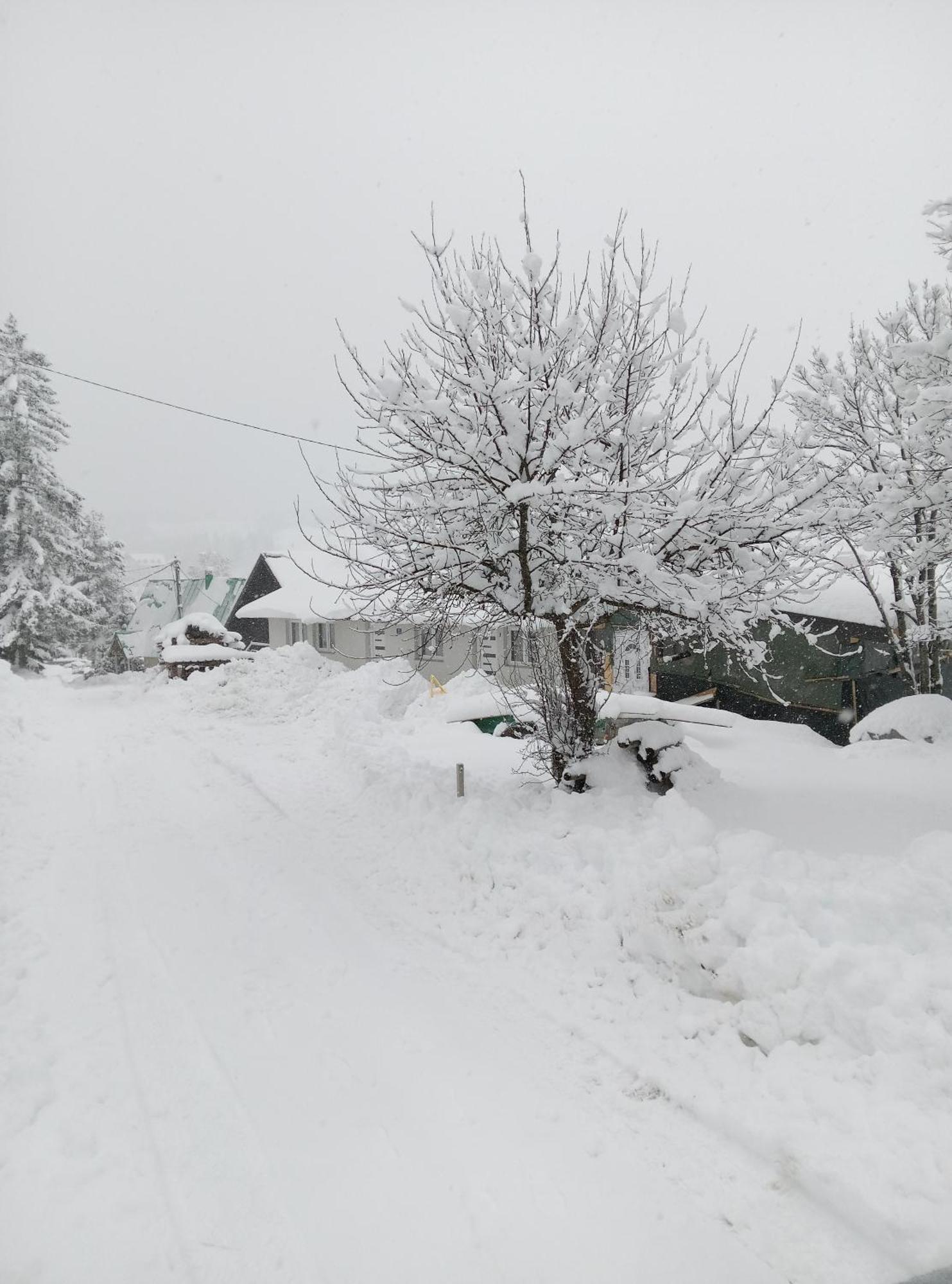 Durmitor Apartment ชาเบลียค ภายนอก รูปภาพ