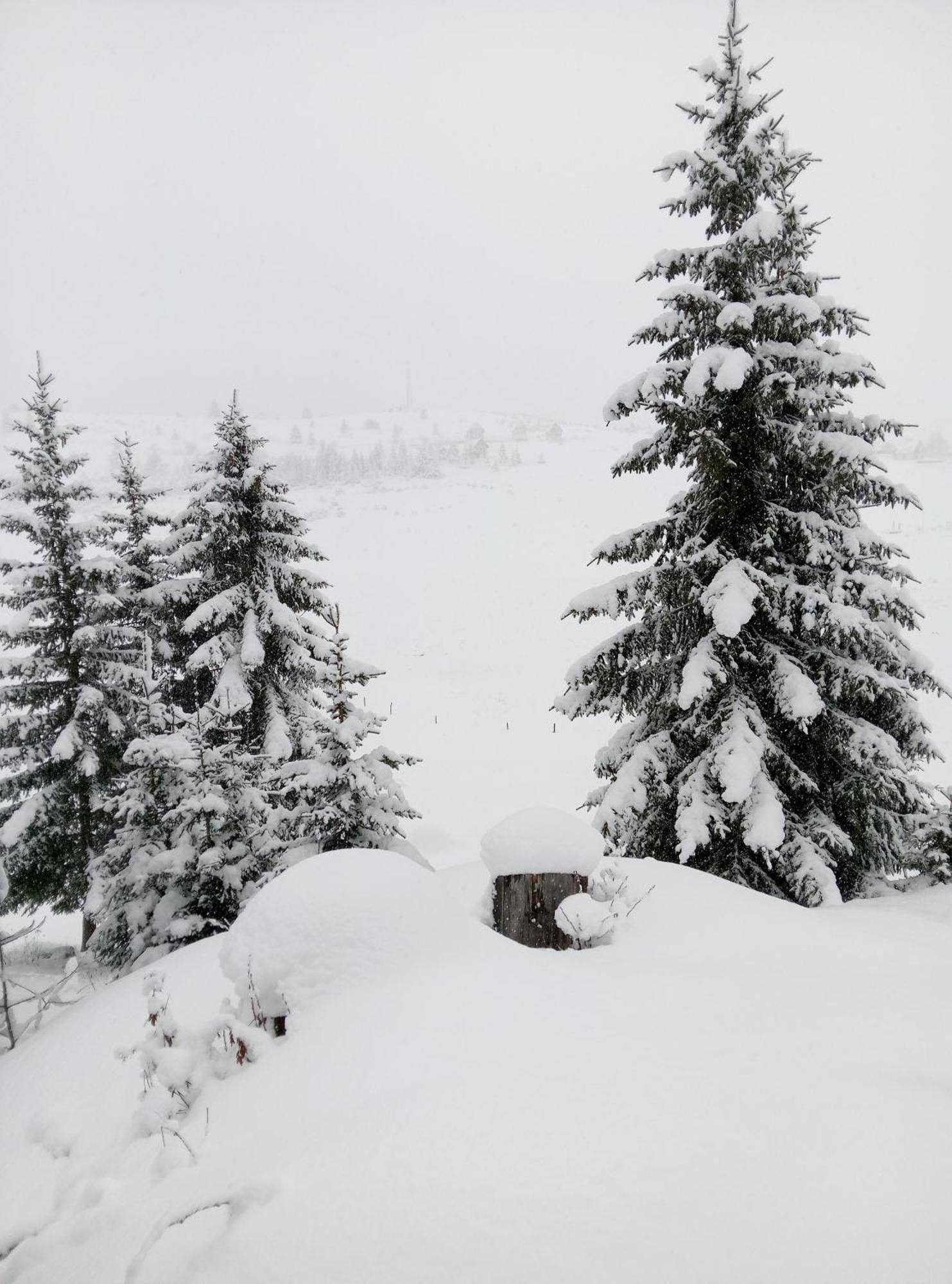 Durmitor Apartment ชาเบลียค ภายนอก รูปภาพ